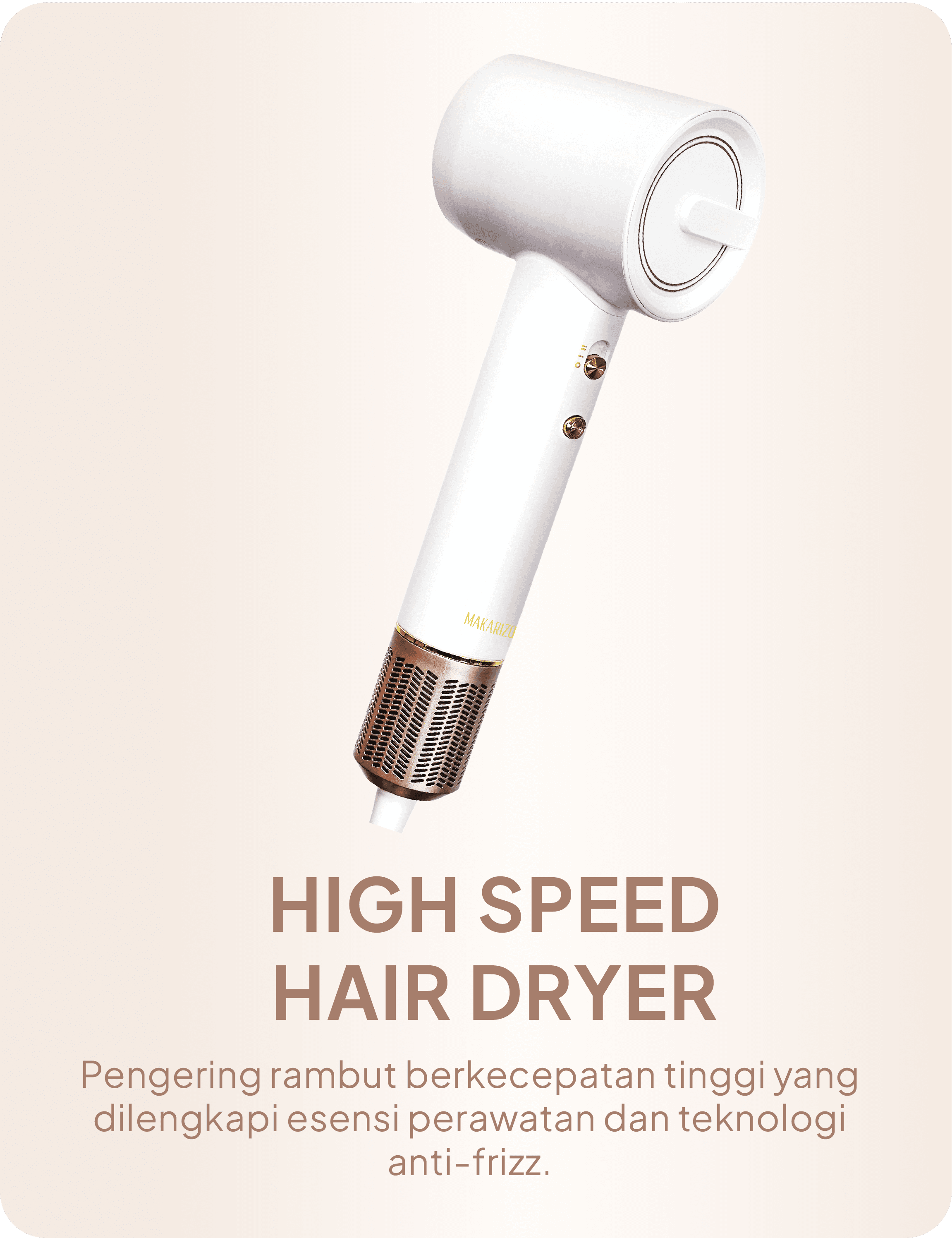 Asters High Speed Hair Dryer