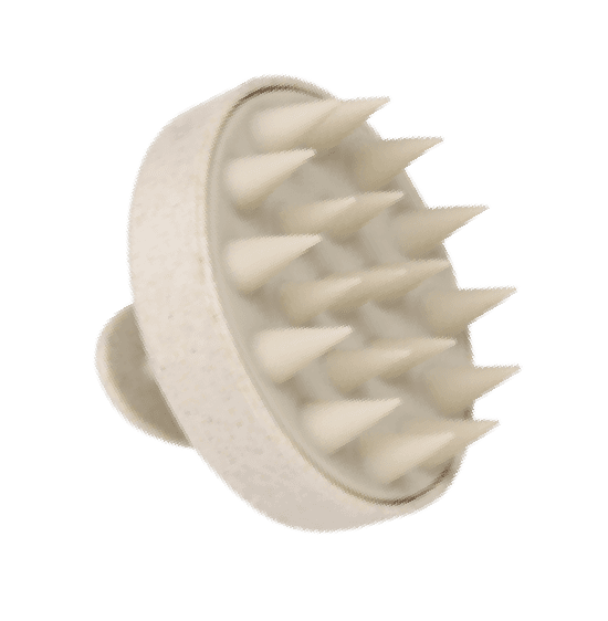 Asters Scalp Therapy Massager