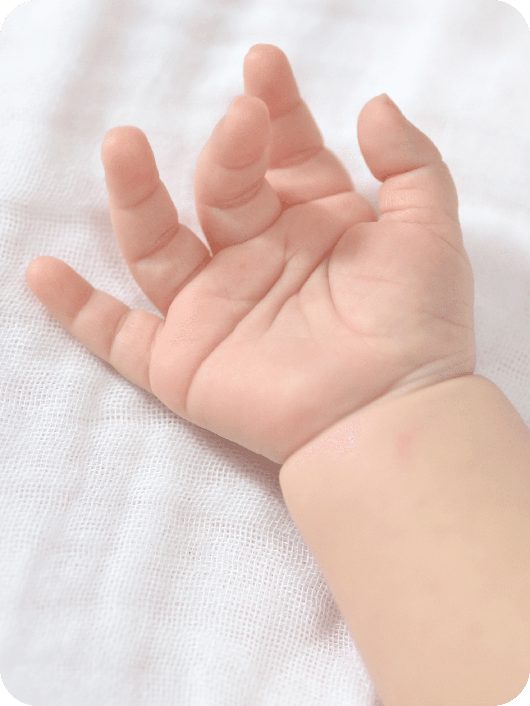 Aman untuk Bayi 0+