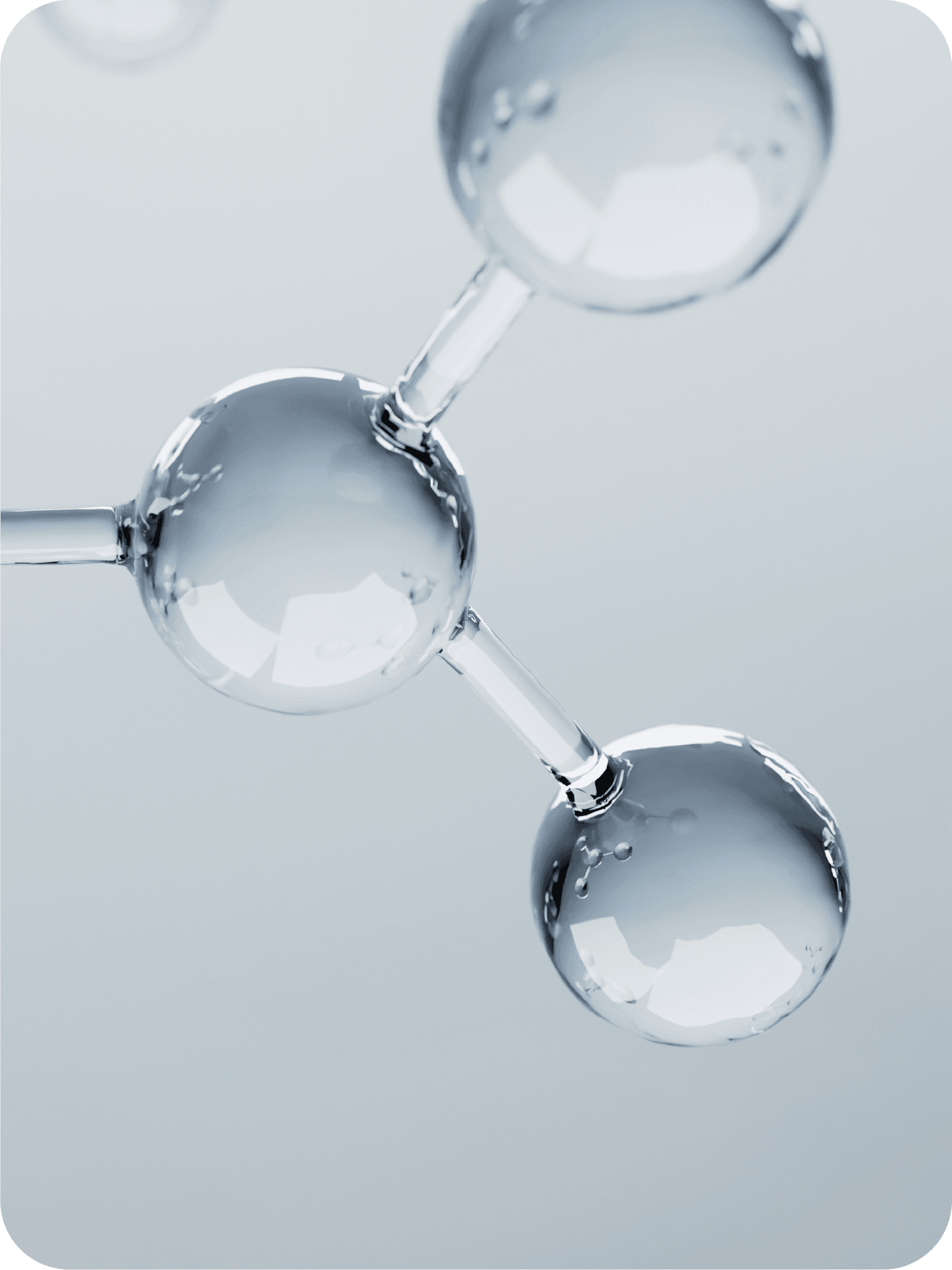 Hydrolyzed Keratin