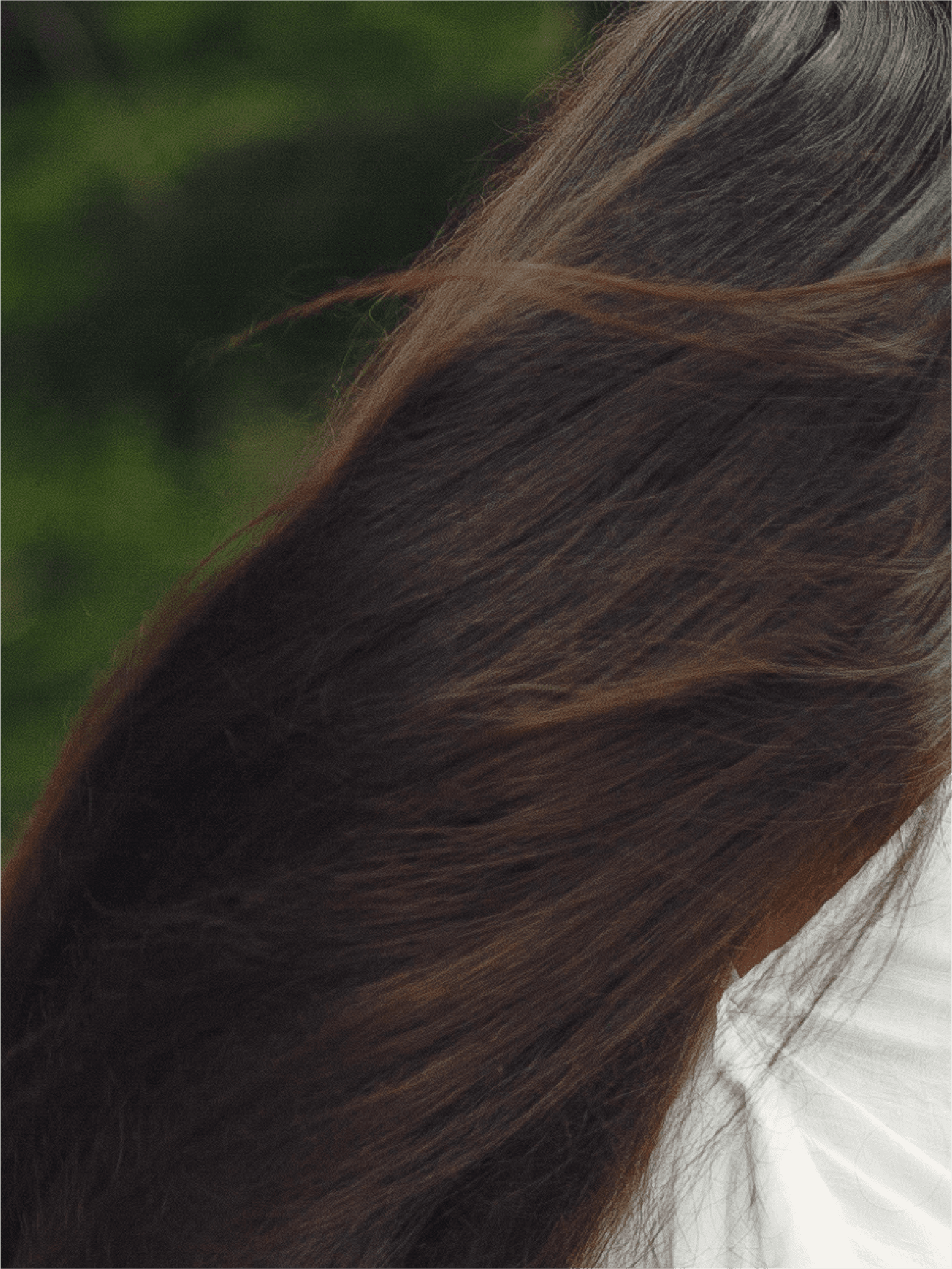 For All Hair Types
