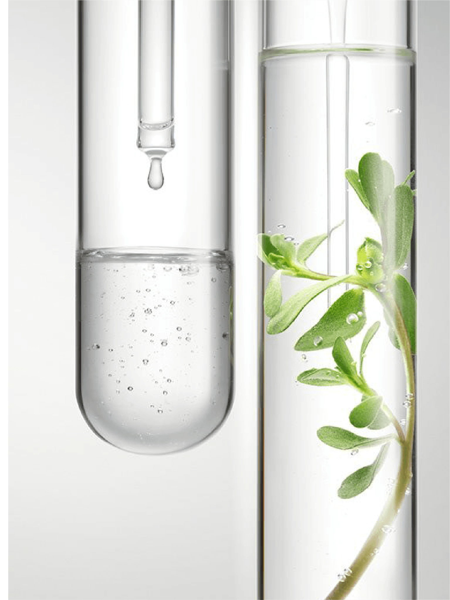 Technology & Natural Formula
